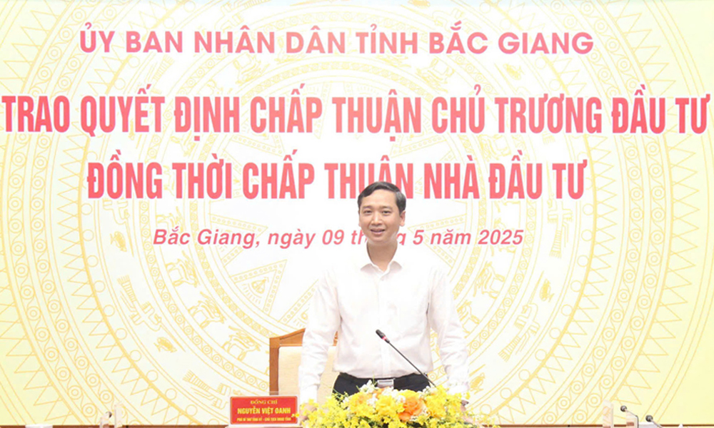  Trao quyết định chấp thuận chủ trương đầu tư dự án hạ tầng Khu công nghiệp Tiên Sơn - Ninh Sơn và Cụm công nghiệp Phương Sơn - Đại Lâm