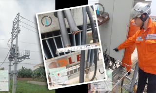 Tăng cường phòng, chống trộm cắp thiết bị lưới điện