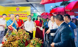 Vải thiều Bắc Giang tham gia “Lễ hội Trái cây - lần thứ 3 năm 2025” tại tỉnh Tiền Giang