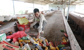 Hàng nghìn lò sấy vải thiều tại huyện Lục Ngạn và thị xã Chũ sẵn sàng hoạt động