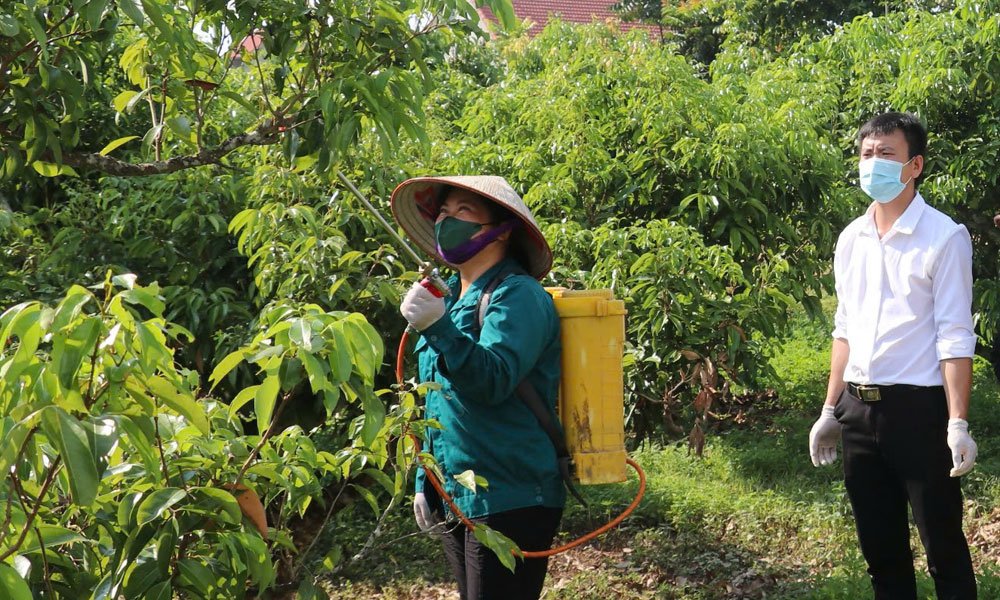  Sơn Động: Hơn 1,3 nghìn lao động là người DTTS được đào tạo nghề