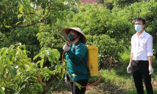 Sơn Động: Hơn 1,3 nghìn lao động là người DTTS được đào tạo nghề