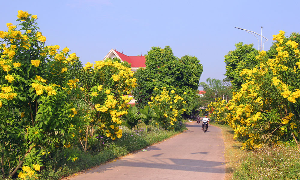  Xây dựng nông thôn mới ở Bắc Giang: Nhân rộng những làng quê đáng sống