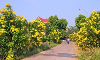 Xây dựng nông thôn mới ở Bắc Giang: Nhân rộng những làng quê đáng sống