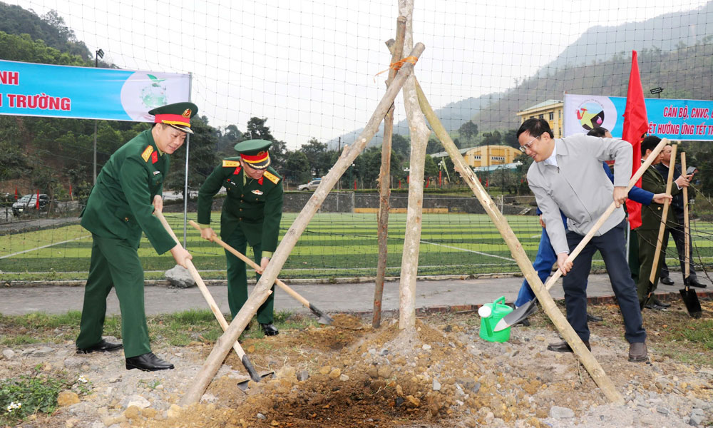  Công ty 45 (Sơn Động) phấn đấu trồng mới 45 nghìn cây xanh