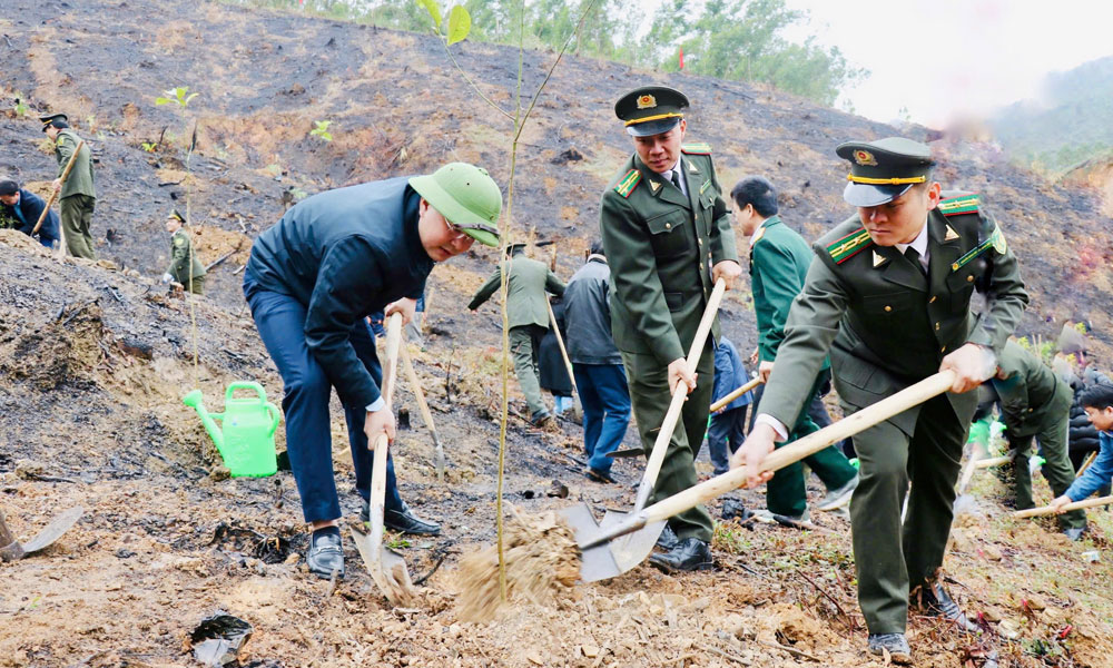  Sơn Động: Phát động trồng 1,2 triệu cây phân tán 