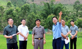Sơn Động: Khẩn trương lên phương án di dời các hộ dân ra khỏi khu vực sạt lở