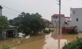 Bắc Giang: Hàng trăm ha lúa, hoa màu bị ảnh hưởng do mưa, lũ