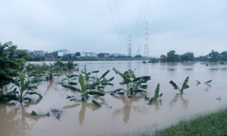 Hiệp Hòa: Nước dâng cao ảnh hưởng đến đời sống, sản xuất của người dân 