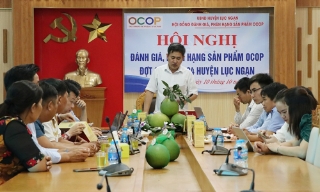 Lục Ngạn: Đánh giá, phân hạng 5 sản phẩm OCOP đợt 2 