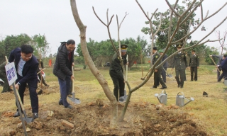 Sở Nông nghiệp và PTNT phát động Tết trồng cây tại đền thờ Lý Thái Tông