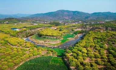  Tin tức - Sự kiện