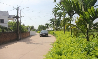 Khẩn trương hoàn thiện hồ sơ thẩm định, công nhận các danh hiệu nông thôn mới