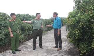Lục Ngạn: Bảo đảm an ninh trật tự, an toàn giao thông mùa vải thiều