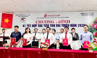 Ký kết thỏa thuận hợp tác tiêu thụ vải thiều Lục Ngạn tại Thành phố Hồ Chí Minh 