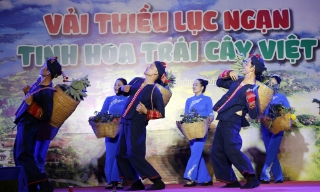 Khai mạc chương trình du lịch “Vải thiều Lục Ngạn - Tinh hoa trái cây Việt”