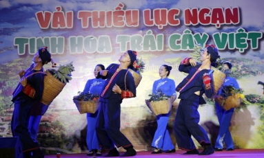  Vải thiều Lục Ngạn