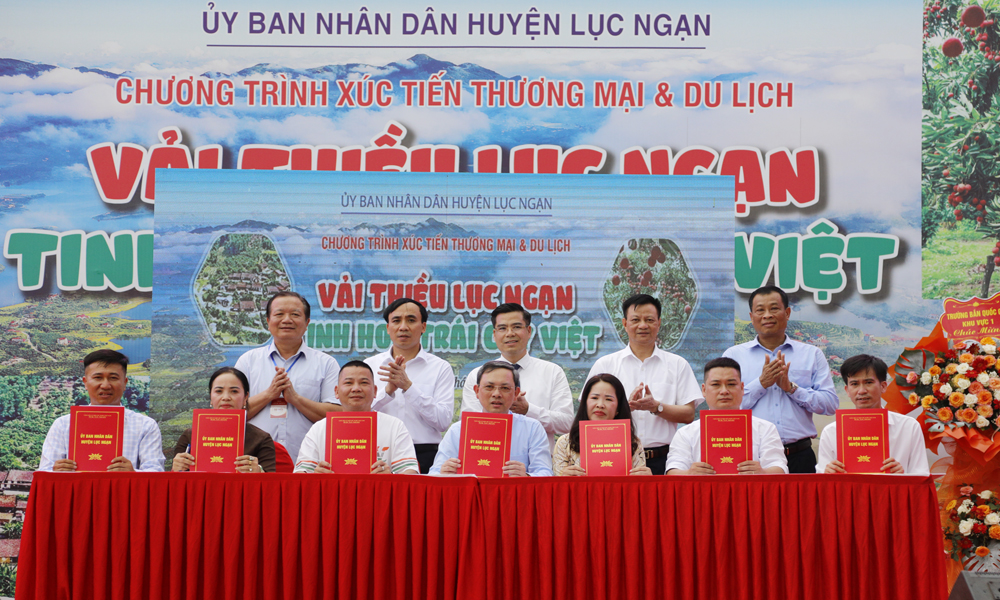  Huyện Lục Ngạn tổ chức chương trình xúc tiến thương mại và du lịch mùa vải thiều