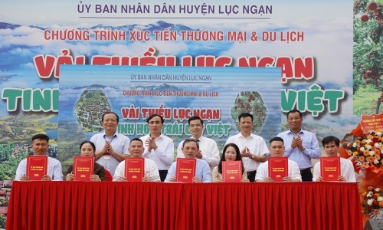  Tin tức - Sự kiện