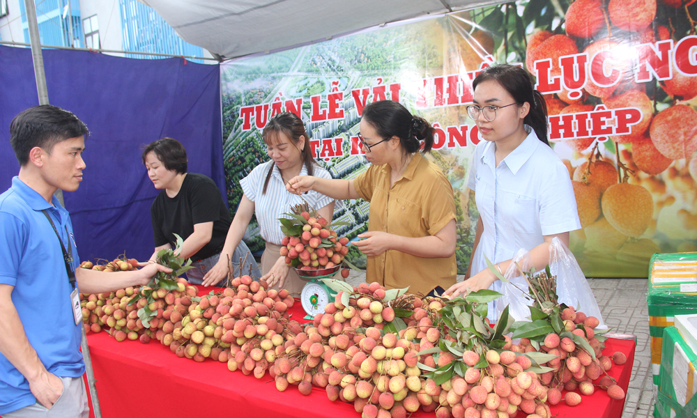  Vải thiều Lục Ngạn được tiêu thụ tại khu công nghiệp