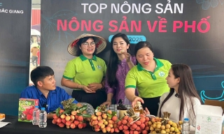Vải thiều rộng đầu ra qua thương mại điện tử 