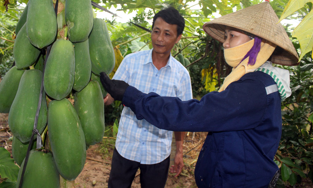  Lục Nam: Gần 3 nghìn cán bộ được tập huấn nâng cao năng lực thực hiện chương trình giảm nghèo