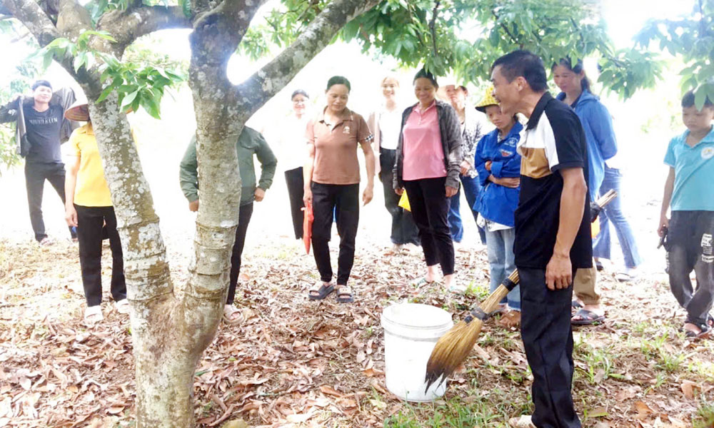  Lục Nam: Hơn 9 nghìn lao động vùng dân tộc thiểu số được học nghề, tạo việc làm mới