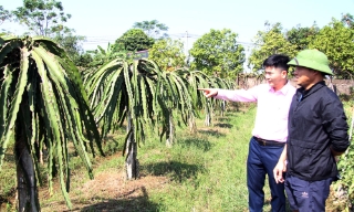 Thêm việc làm, tăng thu nhập