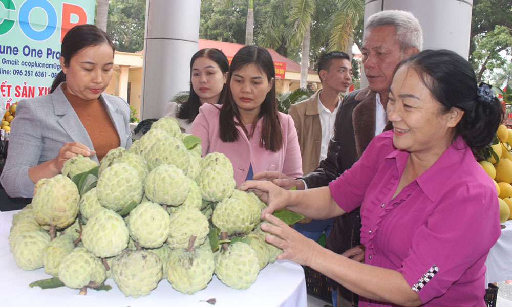  Lục Nam: Nâng giá trị sản phẩm OCOP