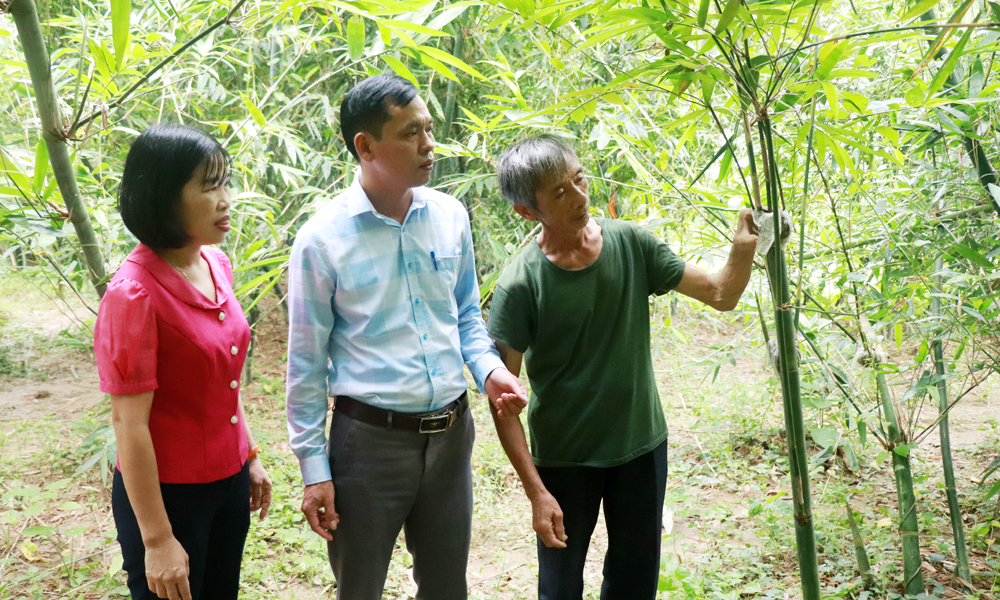 Đa dạng mô hình phát triển kinh tế, giảm nghèo hiệu quả ở xã Đồng Tân 