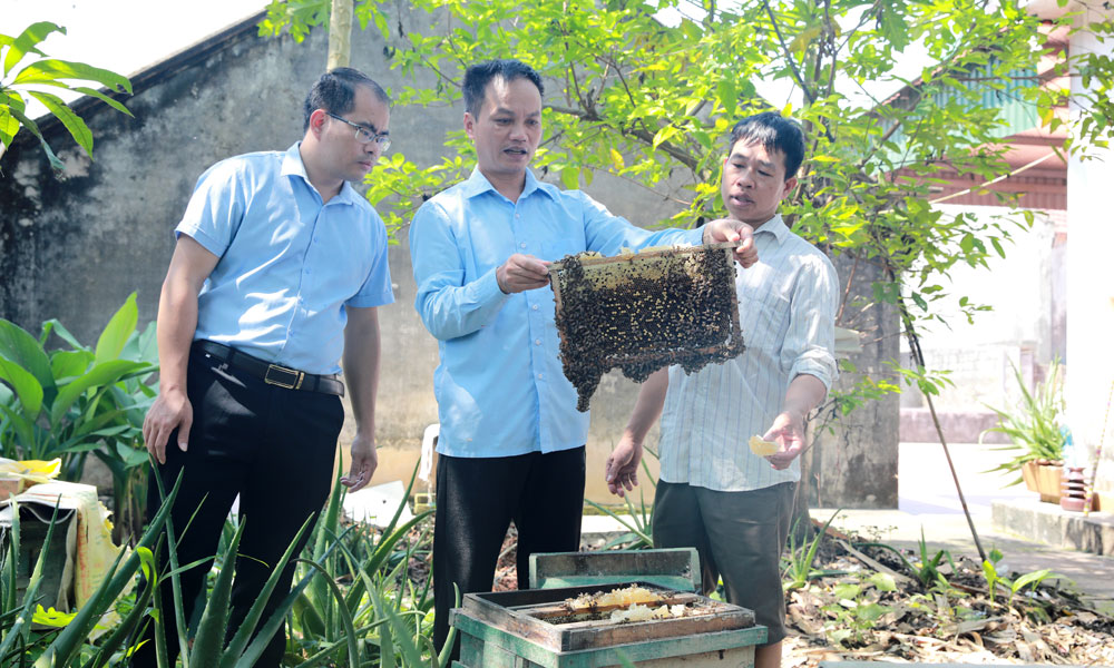 Nâng cao năng lực cán bộ làm công tác giảm nghèo