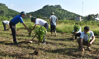 Những trái ngọt từ vườn cây giảm nghèo