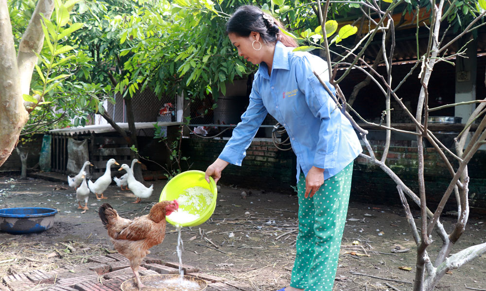  Tân Yên: Hơn 2 nghìn hộ dân được vay vốn chính sách qua ủy thác của tổ chức chính trị - xã hội