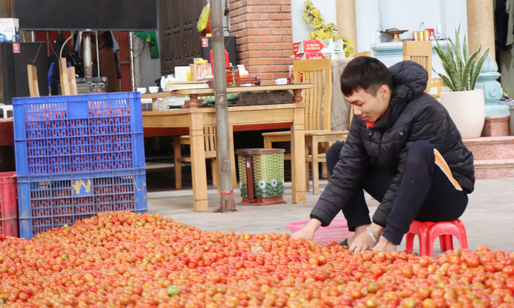  Tân Yên mở các lớp nâng cao năng lực cho cán bộ làm công tác giảm nghèo