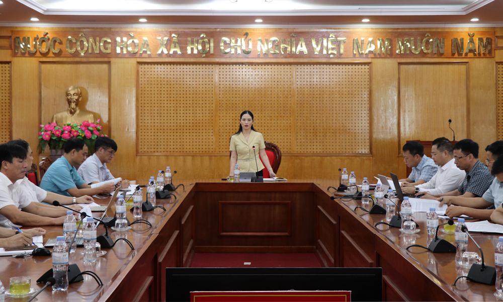  Kiểm tra công tác chuẩn bị vận hành chính quyền địa phương hai cấp tại huyện Tân Yên