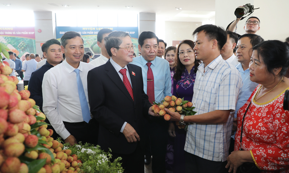  Bắc Giang: Tăng cường kết nối, đẩy mạnh xúc tiến tiêu thụ vải thiều và sản phẩm đặc trưng