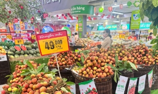 Chung tay tiêu thụ sản phẩm OCOP