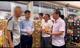 Bắc Giang: Xúc tiến thương mại tại thị trường châu Âu