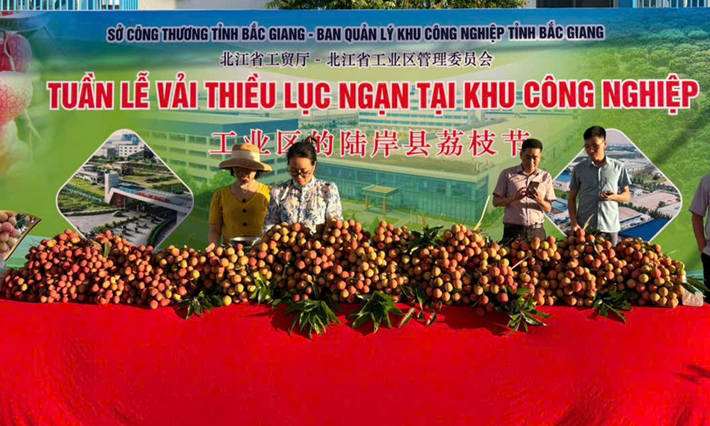  Tăng cường truyền thông, quảng bá Chương trình “Tuần lễ vải thiều Lục Ngạn” tại các khu công nghiệp