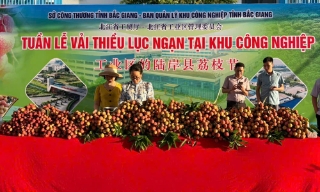 Tăng cường truyền thông, quảng bá Chương trình “Tuần lễ vải thiều Lục Ngạn” tại các khu công nghiệp