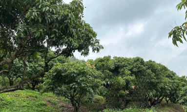  Tin tức - Sự kiện