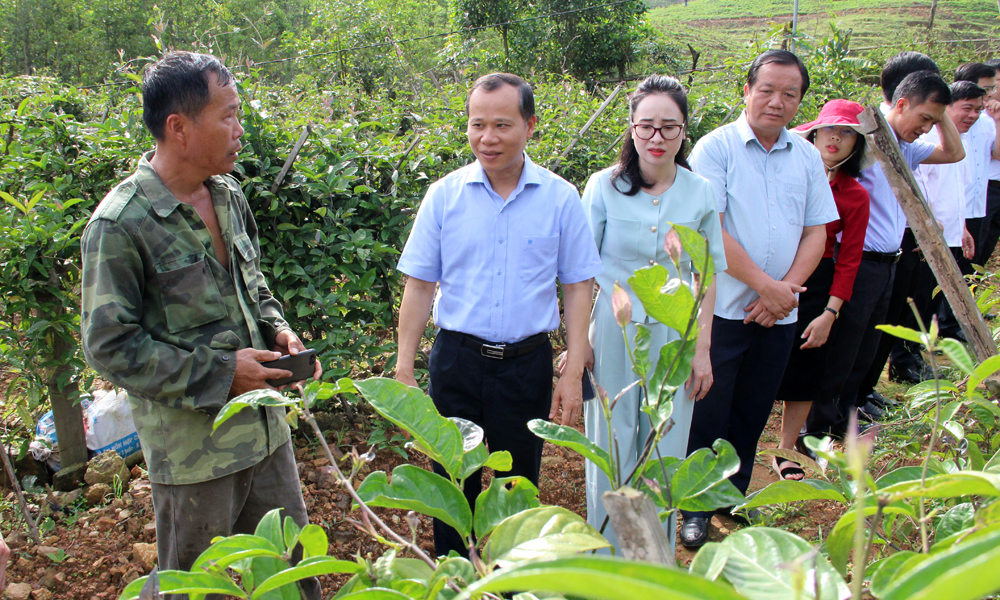 Quan tâm tháo gỡ khó khăn trong thực hiện Chương trình mục tiêu quốc gia và một số dự án tại huyện Sơn Động