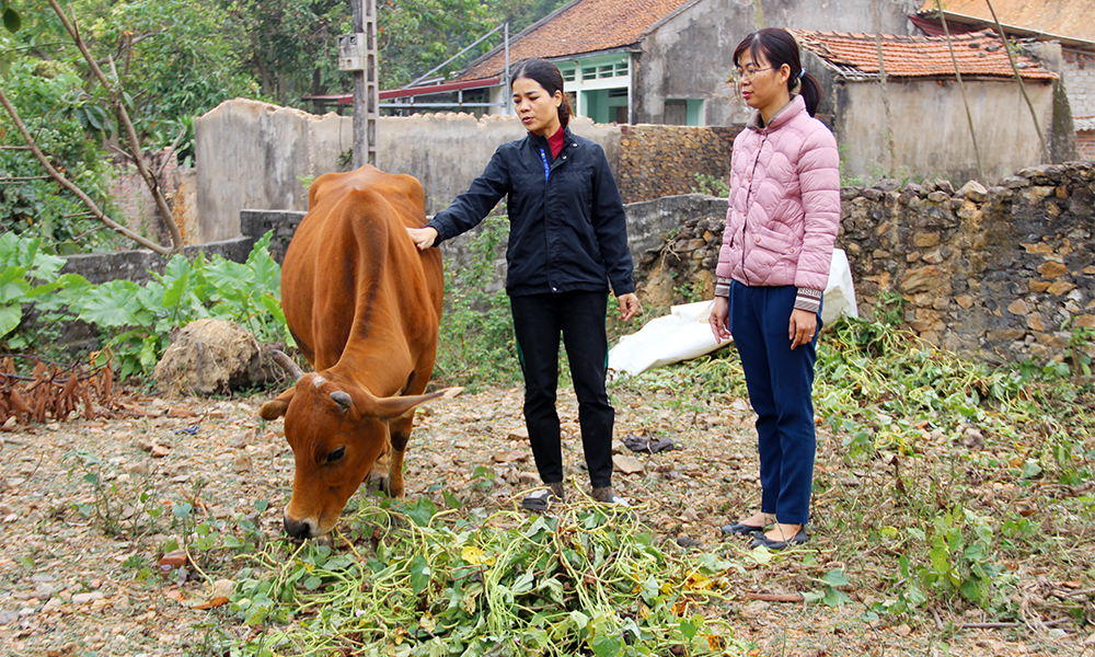  Xã Trí Yên (Yên Dũng): Nỗ lực giảm nghèo, nâng thu nhập cho người dân