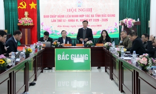 Quan tâm hỗ trợ, nâng chất lượng hoạt động cho hợp tác xã