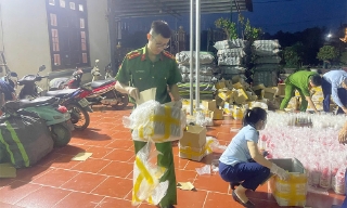 Bắc Giang: Khởi tố vụ án sản xuất hàng giả là thuốc bảo vệ thực vật