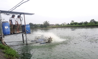 Bắc Giang: 150 ha nuôi thủy sản áp dụng tự động hóa