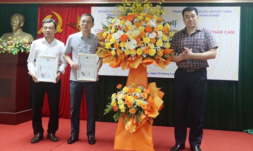  Bắc Giang: Cam Lục Ngạn được bảo hộ chỉ dẫn địa lý