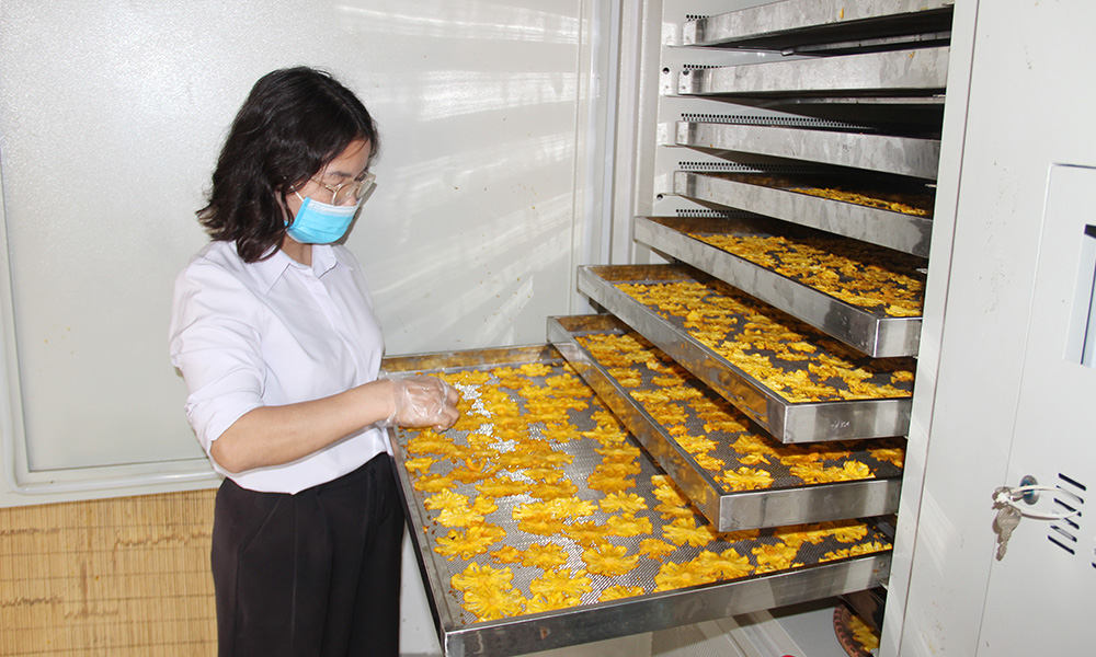  Bắc Giang: Giải ngân gần 50 tỷ đồng hỗ trợ phát triển sản xuất nông, lâm nghiệp và thủy sản