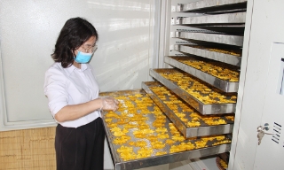 Bắc Giang: Giải ngân gần 50 tỷ đồng hỗ trợ phát triển sản xuất nông, lâm nghiệp và thủy sản
