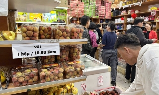 Vải thiều Bắc Giang chinh phục người tiêu dùng châu Âu